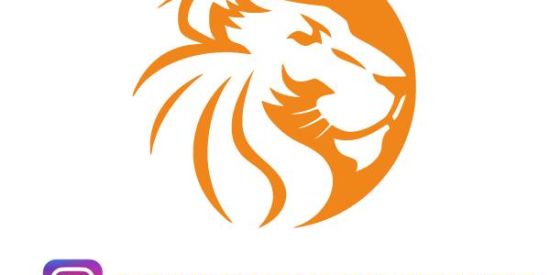 Imagem do grupo de WhatsApp divulgacao_tigre🦁