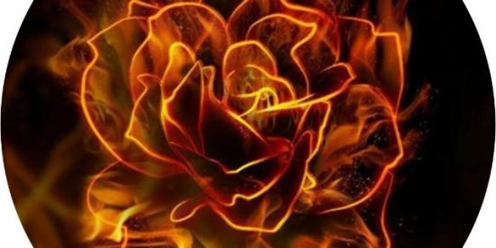 Imagem do grupo de WhatsApp Triagem lfs