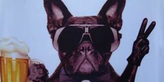 Imagem do grupo de WhatsApp Vitória na guerra