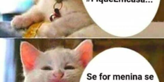 Imagem do grupo de WhatsApp Só zueiras 😂😂😂😂