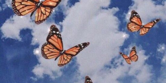 Imagem do grupo de WhatsApp 7️⃣ Recrutamento DtS ✨⚡