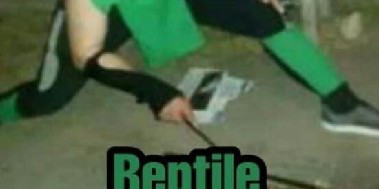 Imagem do grupo de WhatsApp Reptile