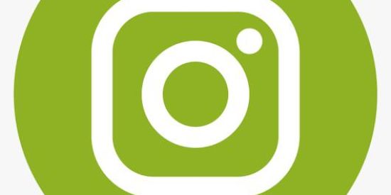 Imagem do grupo de WhatsApp 2. 🐲 Kiทg Drαgσท 🐲