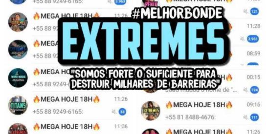 Imagem do grupo de WhatsApp 🦊RECRUTAMENTO GOXS🦊