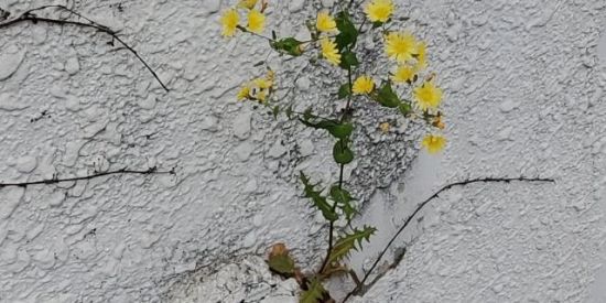 Imagem do grupo de WhatsApp Novas amizadeeeees❤️