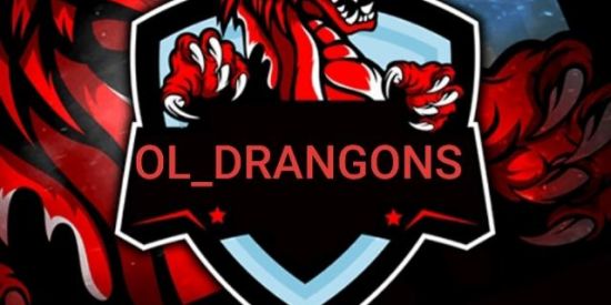 Imagem do grupo de WhatsApp X-TREINO OL_DRANGONS