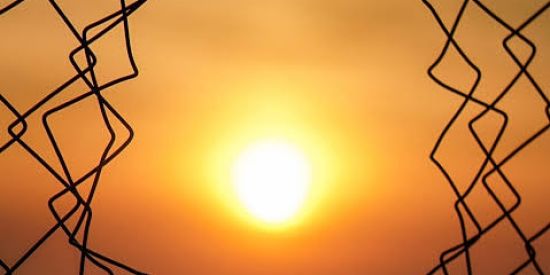 Imagem do grupo de WhatsApp 👑recruta solar👑