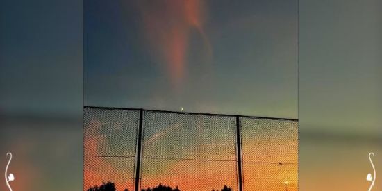 Imagem do grupo de WhatsApp ꧁♕︎єυ.тυ.иσѕ♕︎꧂