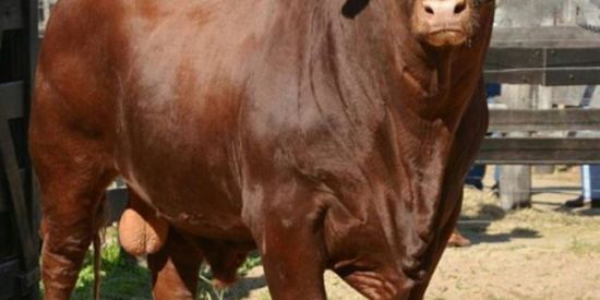 Imagem do grupo de WhatsApp Os cria tá de radinhoo🥵🚩