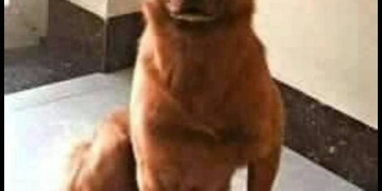 Imagem do grupo de WhatsApp PiqUeH BaNdiDaH nÉh vIda😎