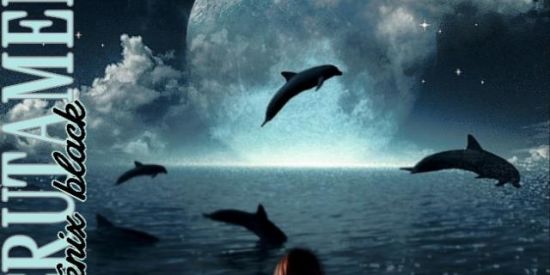 Imagem do grupo de WhatsApp Recrutamento fênix ✨