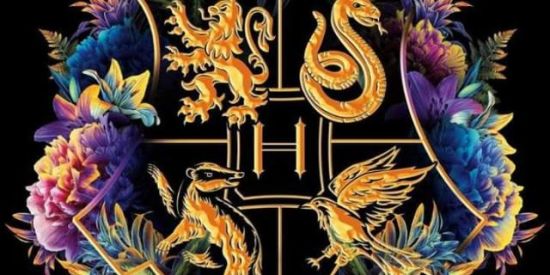 Imagem do grupo de WhatsApp Universo HP⚡