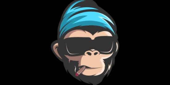 Imagem do grupo de WhatsApp Xtreino XDF