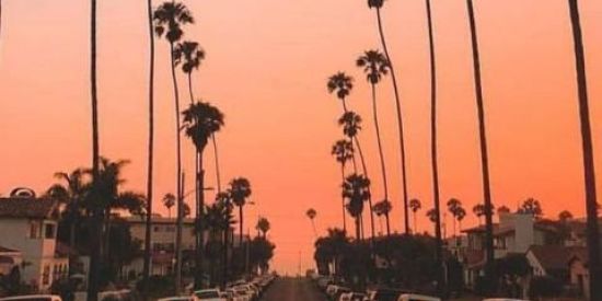 Imagem do grupo de WhatsApp AMIGOS DA NOITE📲