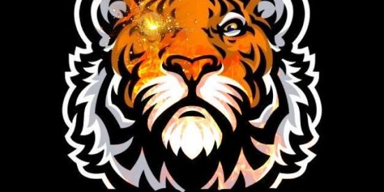 Imagem do grupo de WhatsApp 🛑 RECRUTAMENTO ♕Tg'я♕ 🐯