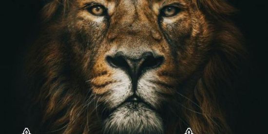 Imagem do grupo de WhatsApp 3°|  ༒мєgα_ρσωєr༒