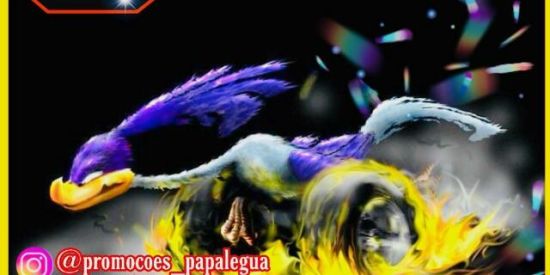 Imagem do grupo de WhatsApp Promoção papa-legua