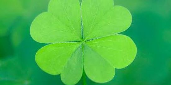 Imagem do grupo de WhatsApp Sorteios🍀☘️🍃