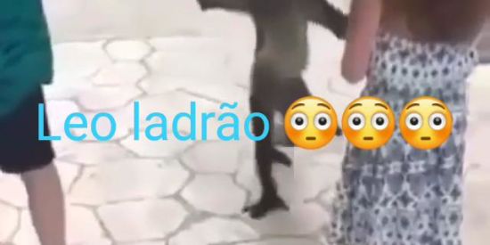 Imagem do grupo de WhatsApp magagu