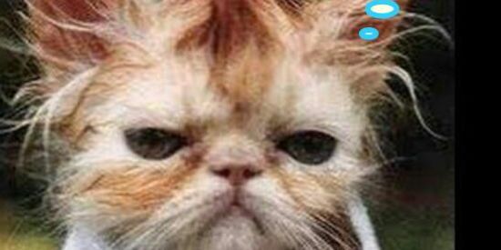 Imagem do grupo de WhatsApp 💣😎🔥"Žüēírä ąqűï"⚡💥🥳😂