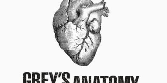 Imagem do grupo de WhatsApp ɢʀᴇʏ's ᴀɴᴀᴛᴏᴍʏ 🏥🩺