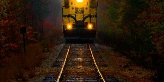 Imagem do grupo de WhatsApp NOIS QUE É O TREM 🤑🤬🚆