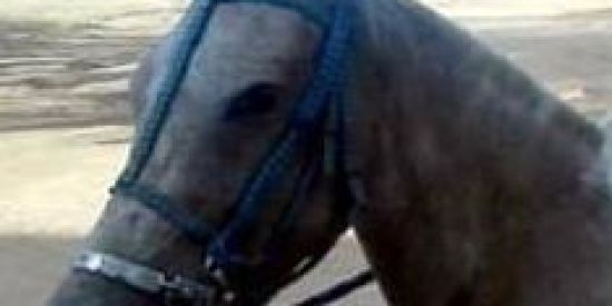 Imagem do grupo de WhatsApp VEM BB😏🌚