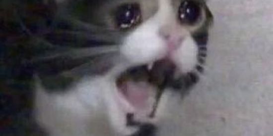 Imagem do grupo de WhatsApp 🔱🔘grupo de igreja 🔘🔱