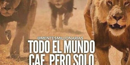 Imagem do grupo de WhatsApp aumentar la estatura (ser los mejores)