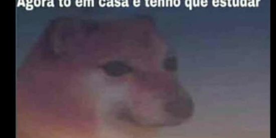 Imagem do grupo de WhatsApp ŞĦIŦPØŞŦ