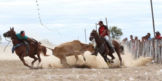 Imagem do grupo de WhatsApp vaquejada e meu esport