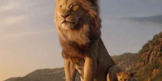 Imagem do grupo de WhatsApp THE BEST FAMILY