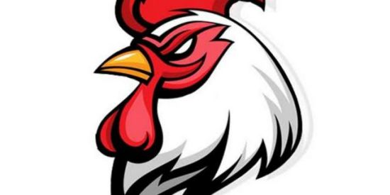 Imagem do grupo de WhatsApp Voz de  galinha  ff ❤️✨