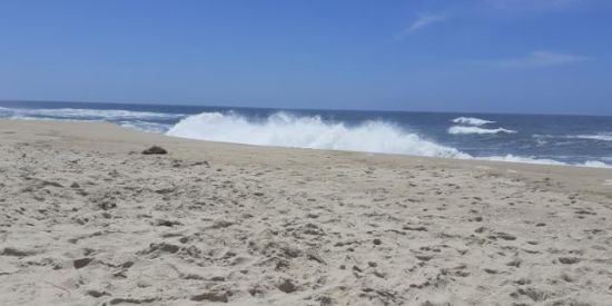 Imagem do grupo de WhatsApp Grupo bissexuais portugal