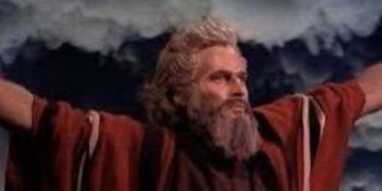 Imagem do grupo de WhatsApp Zueira sem limites 😎✅