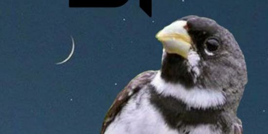 Imagem do grupo de WhatsApp ⏁ 🅢🅗🅘🅣 🅓🅞 🅣🅤🅘🅣🅤🅘⏁