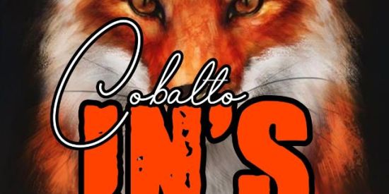 Imagem do grupo de WhatsApp ❸.❶ ♚IŇ'ร♚ 🦊cσвαlτσ 🦊