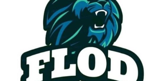 Imagem do grupo de WhatsApp FLODD