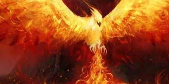 Imagem do grupo de WhatsApp Equipe Fênix 🔥🦅