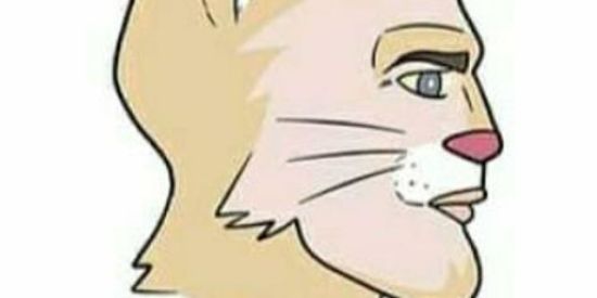 Imagem do grupo de WhatsApp Crocodilos Gatosos