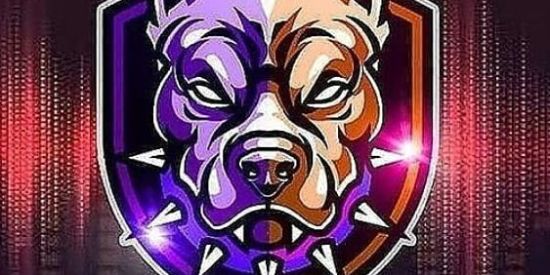 Imagem do grupo de WhatsApp PROJETO 🌍