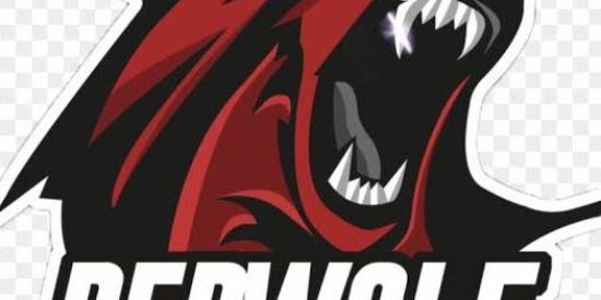 Imagem do grupo de WhatsApp RED WOLF