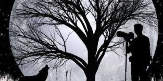 Imagem do grupo de WhatsApp TUDO SOBRE LOBISOMENS