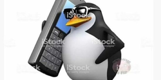 Imagem do grupo de WhatsApp 🤡 SHITPOST 🤡