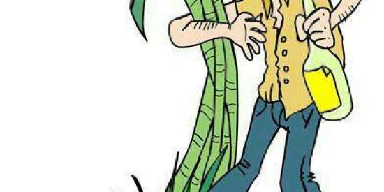 Imagem do grupo de WhatsApp OS KACHACEIROS DE PLANTAO