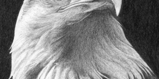 Imagem do grupo de WhatsApp O MELHOR ESTILO É O SEU ✏️