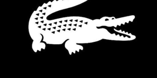 Imagem do grupo de WhatsApp Resenha ⛹🏽‍♂️⚡