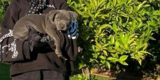 Imagem do grupo de WhatsApp 💚🥑Amamos Billie Eilish🥑💚