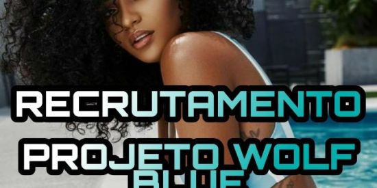 Imagem do grupo de WhatsApp Recrutamento Wolf Blue