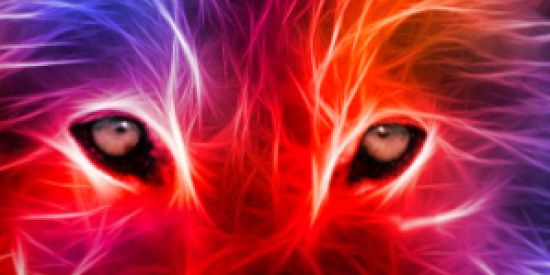 Imagem do grupo de WhatsApp VIP MOD CLIENTE